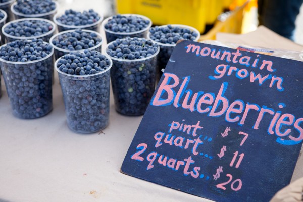 blueberries farmers market san francisco michelle franzoni blog da mimis_