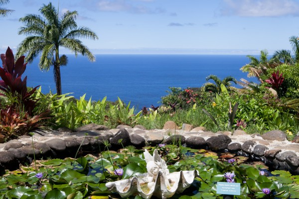 exercicios hawai maui garden of eden  michelle franzoni blog da mimis_-3