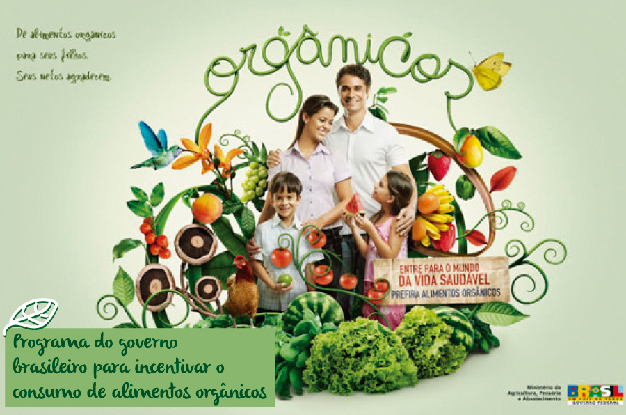 alimentos-organicos-p.brasileiro-blog-da-mimis-michele-franzoni