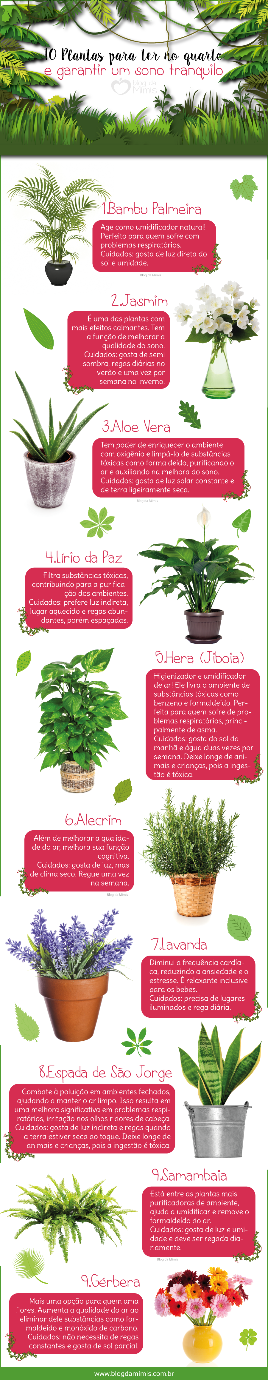 plantas-para-quarto-blog-da-mimis-michelle-franzoni-post