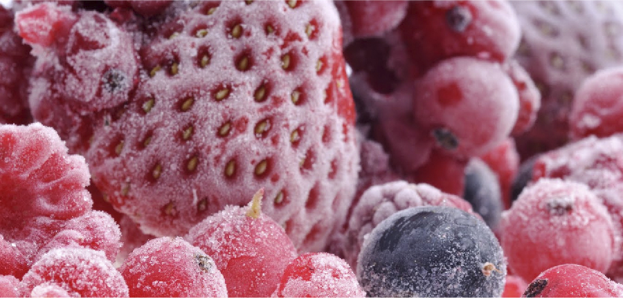 Congelando frutas e vegetais