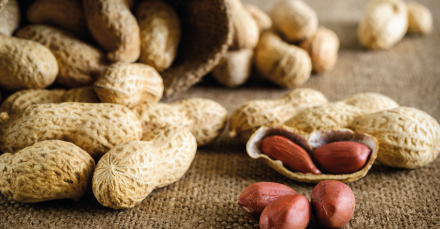 Amendoim: poderoso aliado da dieta e saúde