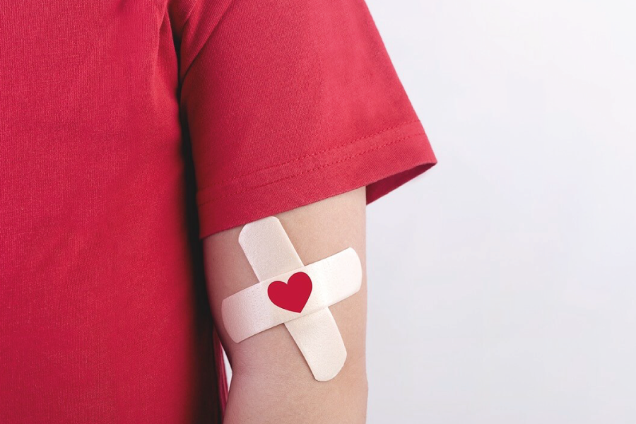 Doação de Sangue: requisitos, como e quem pode doar sangue